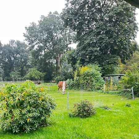 Urlaub In Unserem „Kleinen Haus“ Nindorf  Zewnętrze zdjęcie