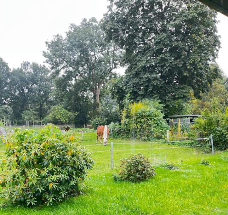 Urlaub In Unserem „Kleinen Haus“ Nindorf  Zewnętrze zdjęcie